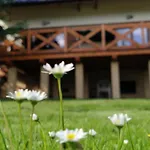 Lesny Las (Zywiec)