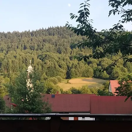 Leśny *