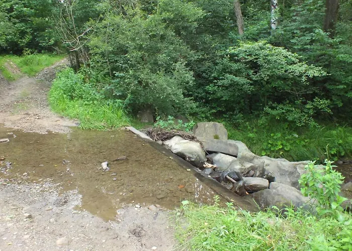 Prázdninový dům Lesny Las (Zywiec)