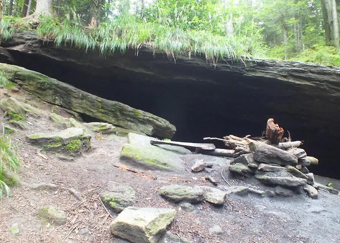 Lesny Prázdninový dům Las (Zywiec)