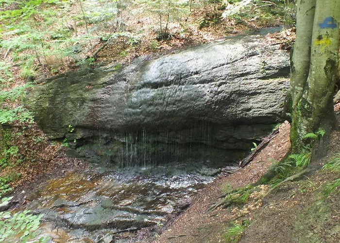 Lesny Prázdninový dům Las (Zywiec)