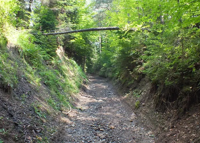 Lesny * Las (Zywiec)