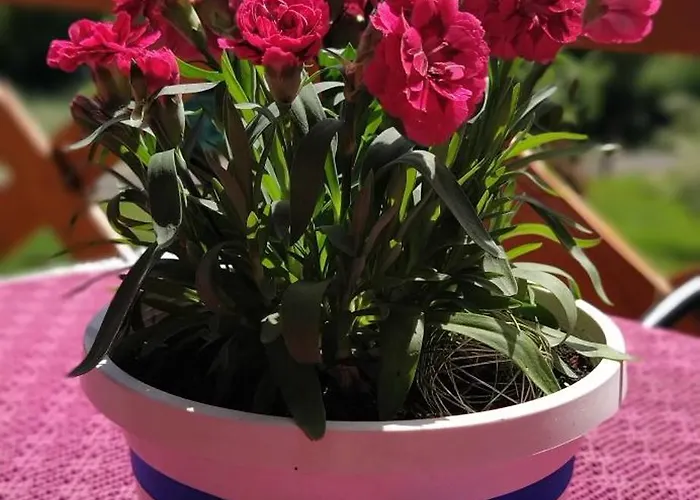 Prázdninový dům Lesny