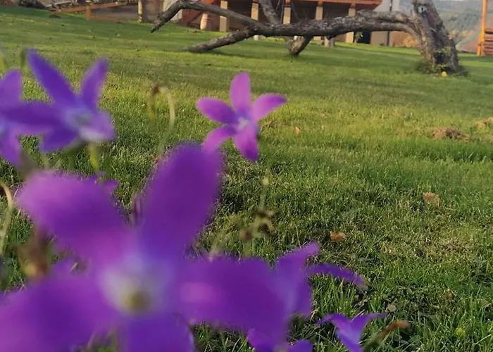 Lesny Prázdninový dům *