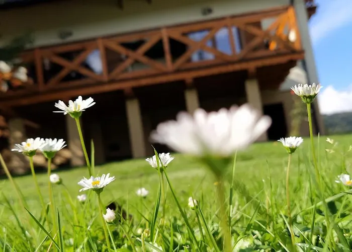 Lesny * Las (Zywiec)