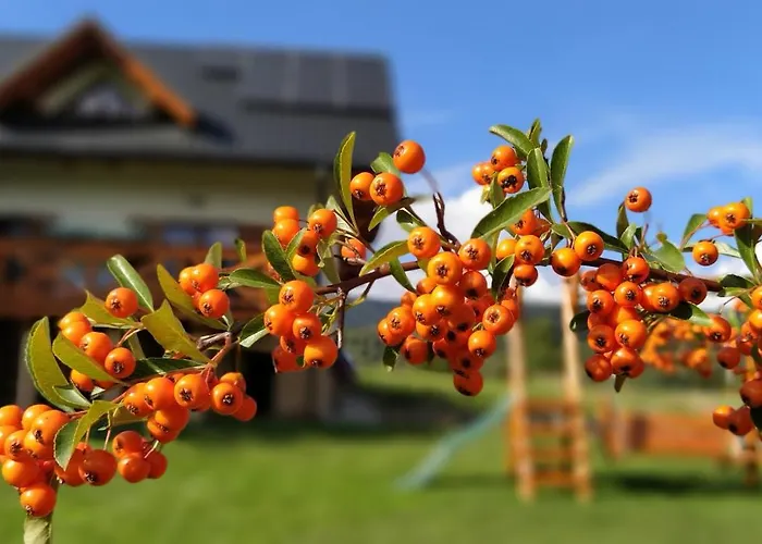 Lesny Prázdninový dům