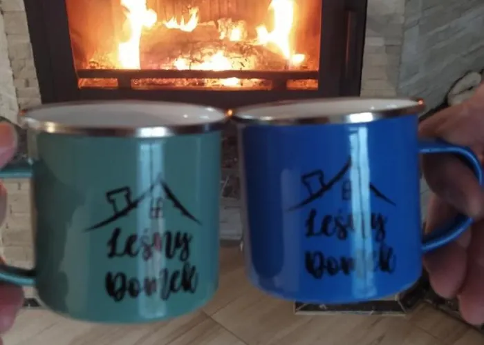 Lesny Prázdninový dům *