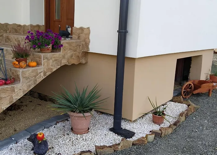 Prázdninový dům Lesny Las (Zywiec)