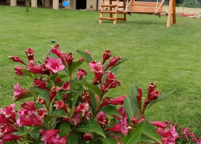 Prázdninový dům Lesny Las (Zywiec)